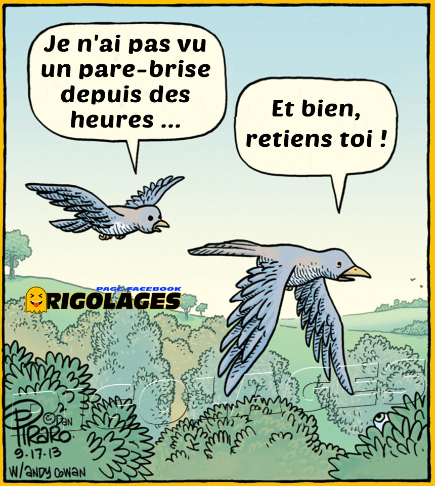EmEgZJBXUAAAPGd.jpg